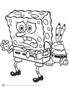 Bob Esponja e Sr. Siriqueijo